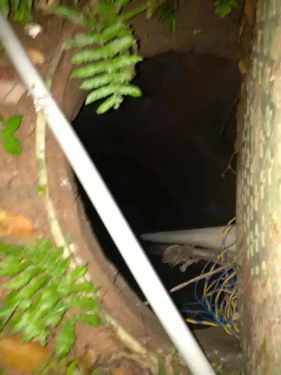 教授你你慢一点:痛心！12岁男孩小区内不幸身亡