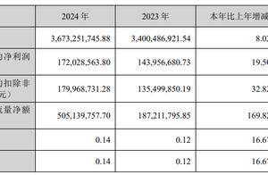 章源钨业2024年净利增20%，董事长黄泽兰年过七旬、儿子黄世春任总经理