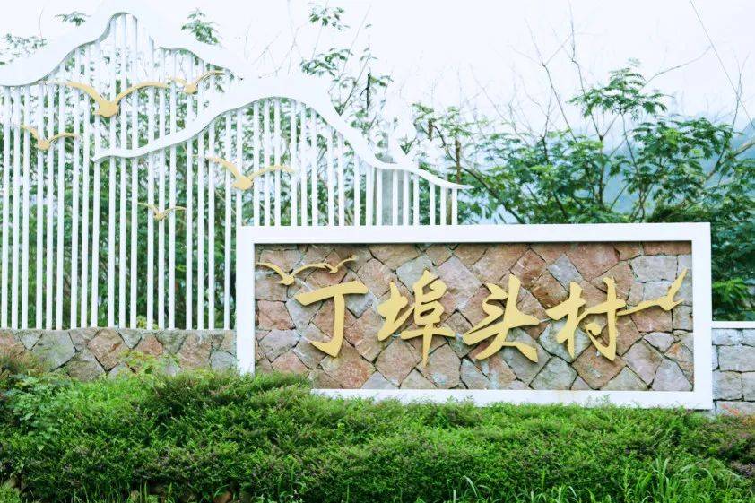 苍南知名网红村!游泳正好