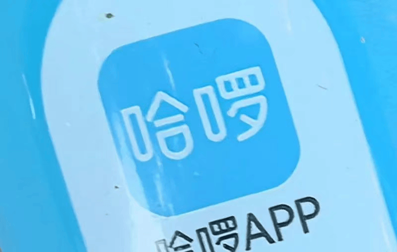 12岁男孩暴雨中被网约车司机扔半路 哈啰称司