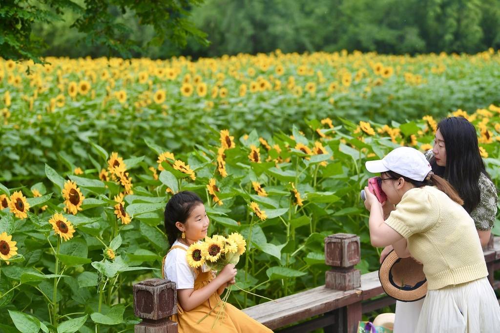 顶替弟弟相亲成功了:北京提前进入“ *** 天”，市气象局：未来一周高湿闷热持续