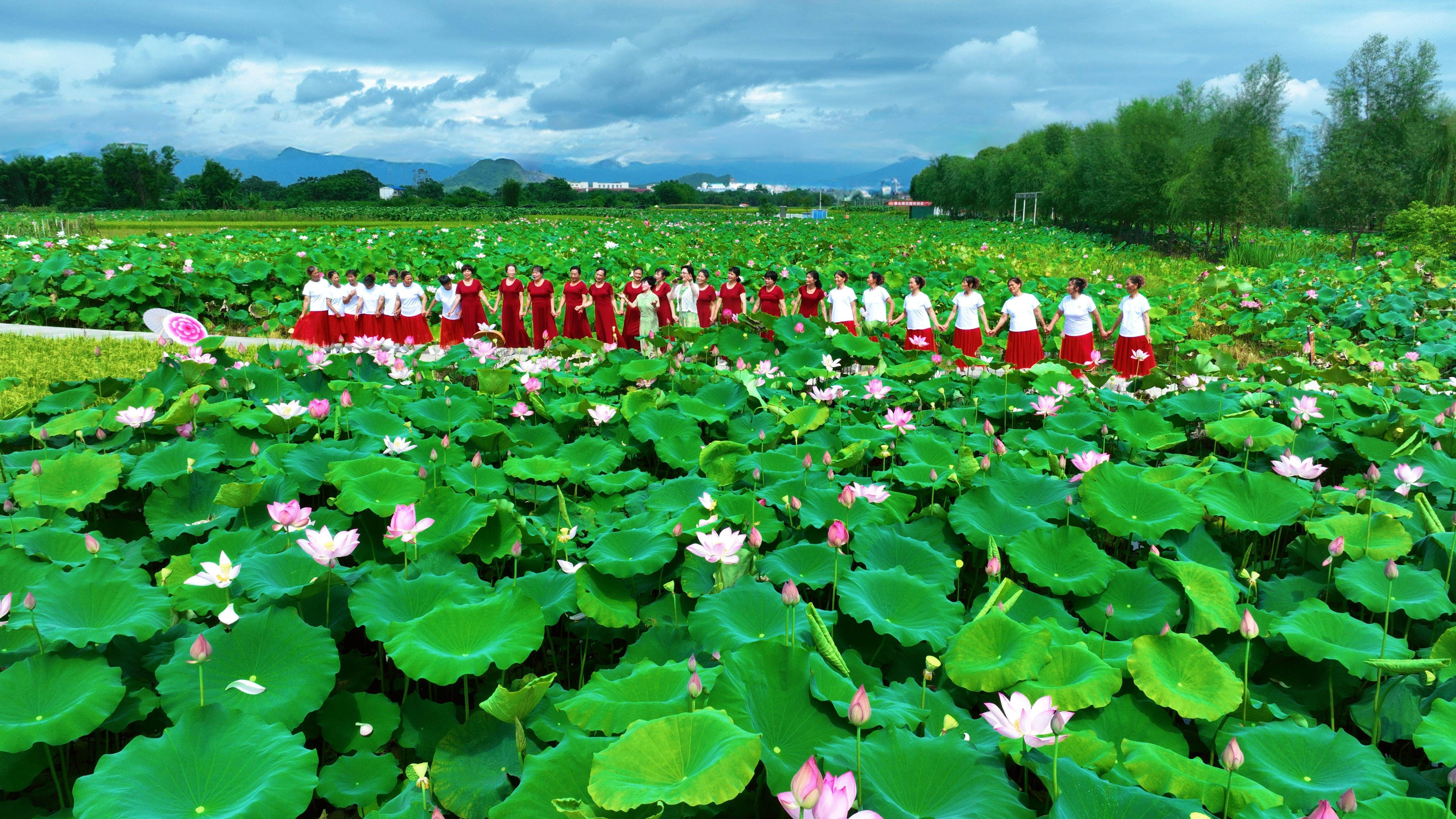 韶关乐昌举办荷花节