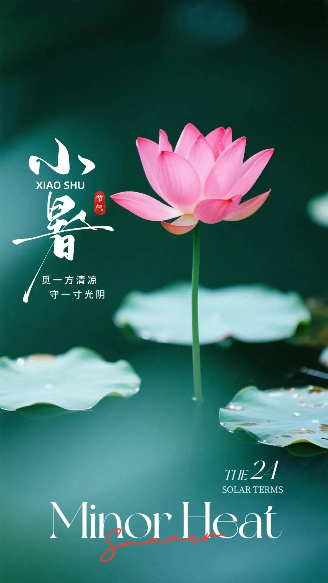 小暑,问候!