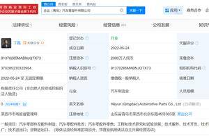 丁磊任职华人运通旗下汽车零部件公司