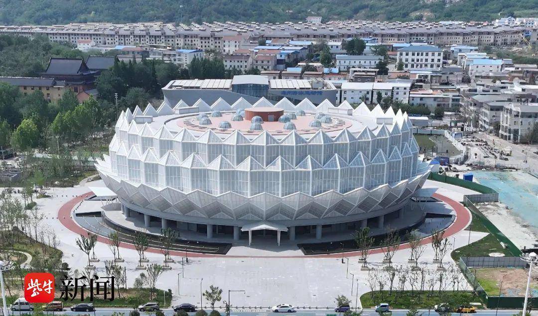 2025年江苏省青少年乒乓球锦标赛：青春激战，未来之星闪耀连云港
