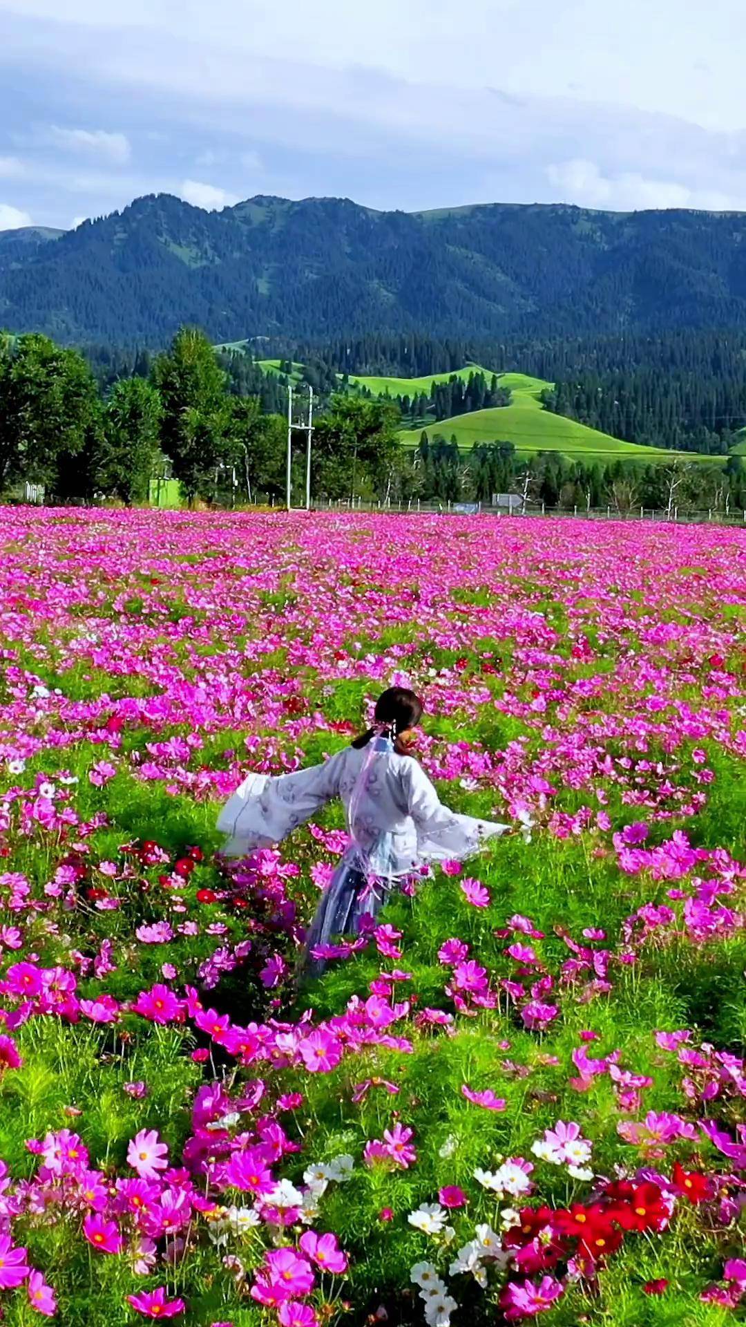 花海那拉提里藏着现实版莫奈花园治愈系风景 花海那拉提 新疆旅游攻略