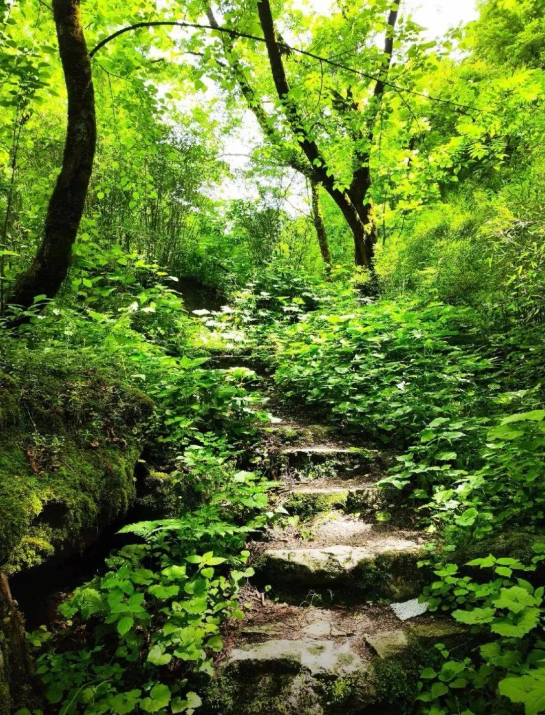 青峰峡喊你摸鱼啦这个夏天放肆玩水