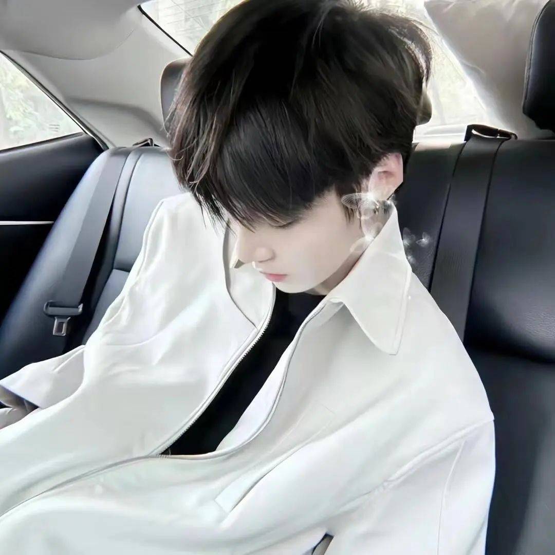 情侣头像丨斯人若彩虹,遇上方知有