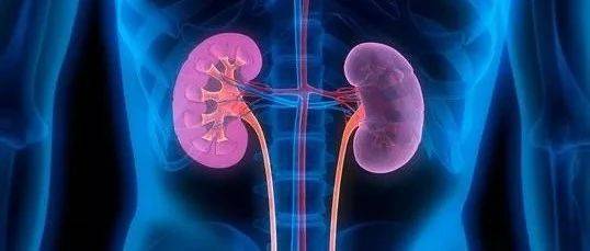 两肾、命门及其太极练法_人体_脏腑_的作用
