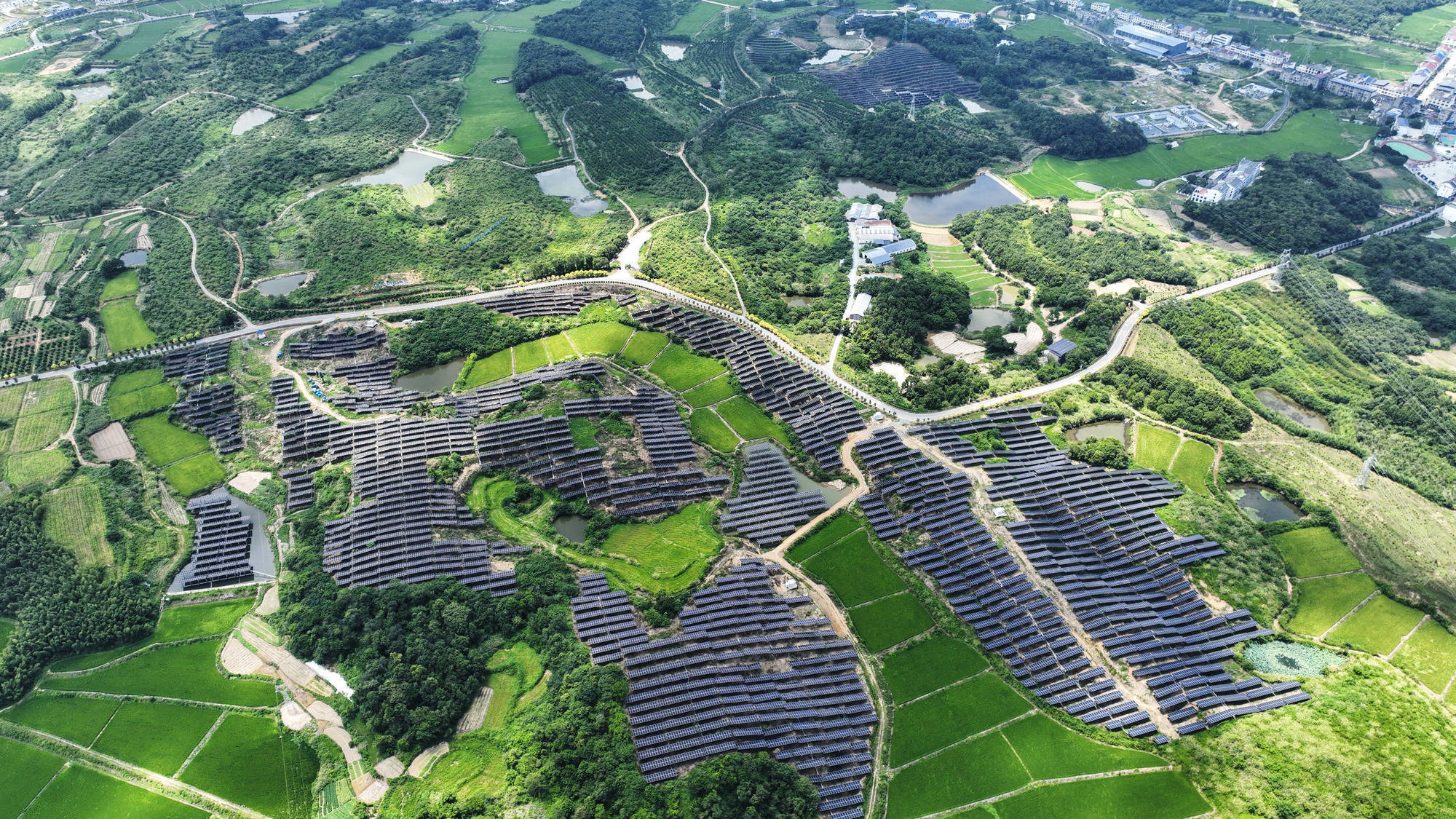 赣南大地 的民生密 农业转型相关图片4