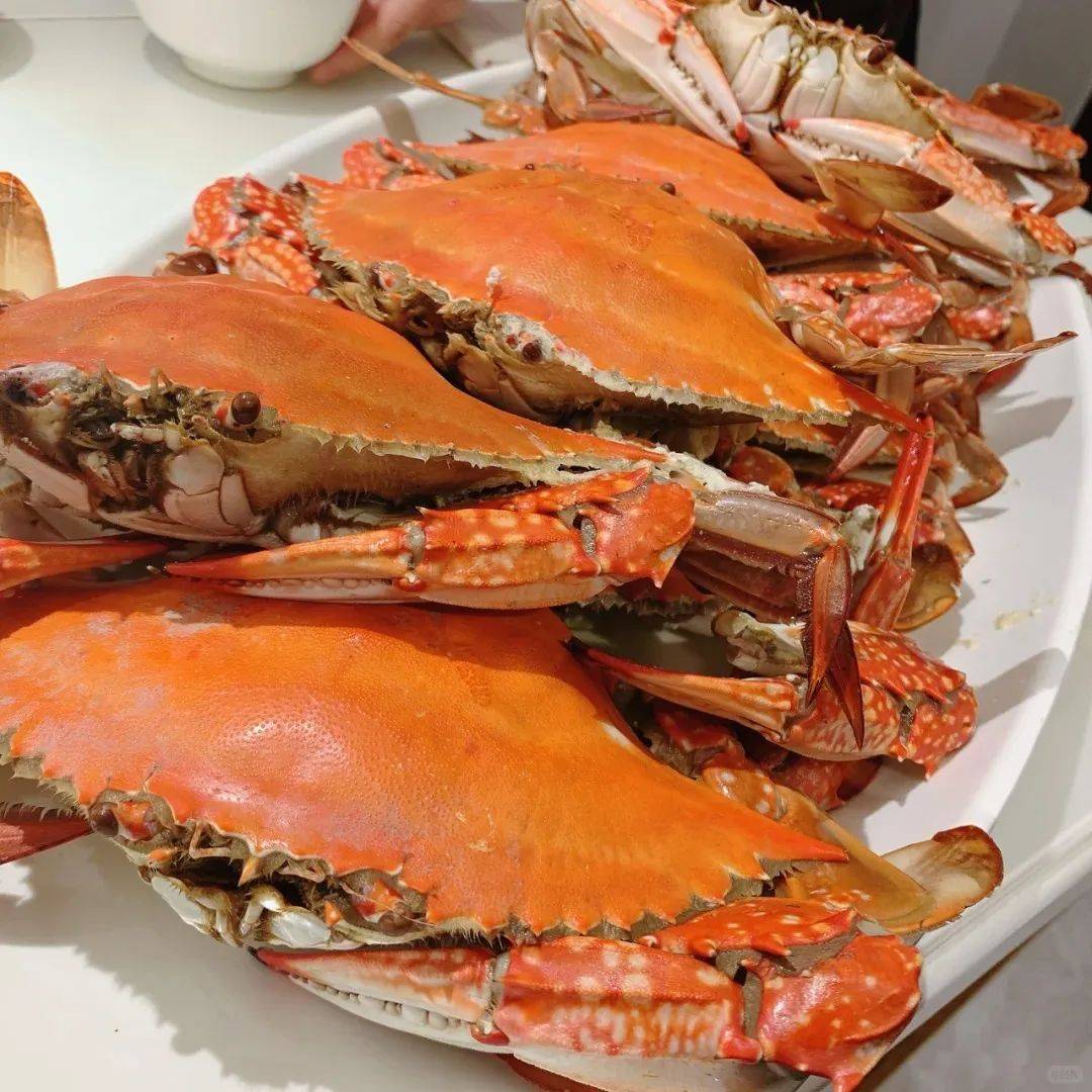 魅力苏超·味力南通丨特色海鲜篇