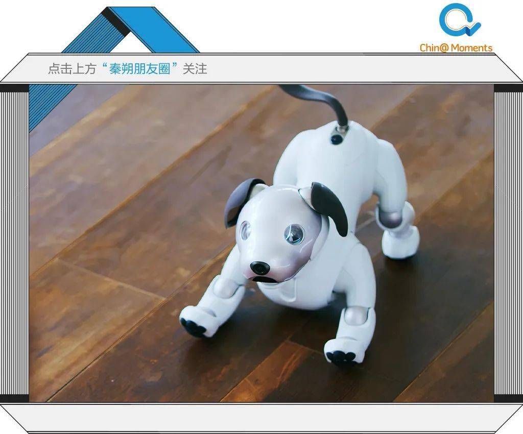 猫的奴隶，二维，人机爱情，为什么我们反复爱