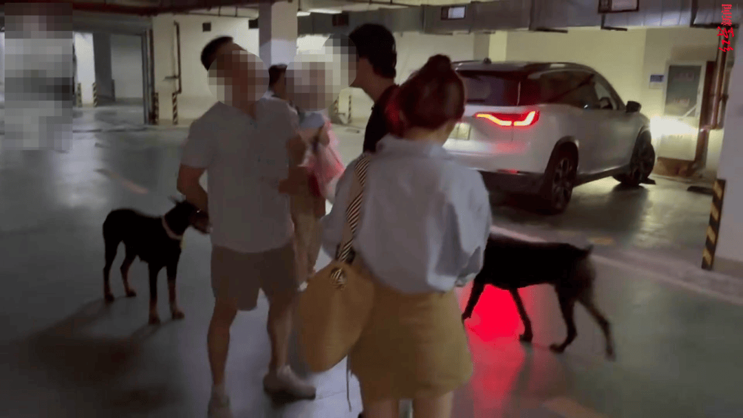 2只杜宾没拴绳路人称要打死狗，狗主反呛“咬你了吗”？警方：正逐户排查养狗人