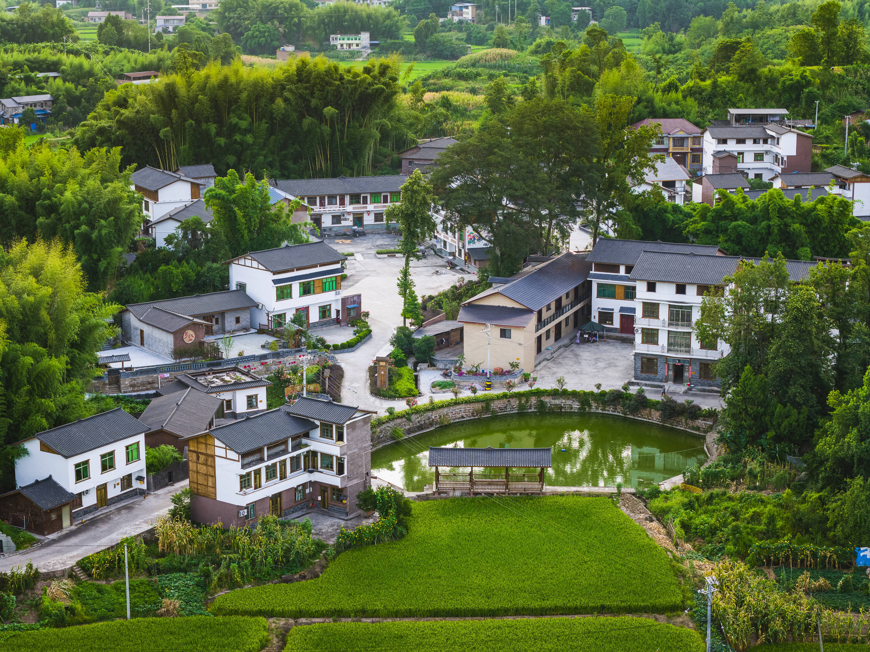 重庆梁平:巴蜀美丽庭院绘就和美乡村新图景