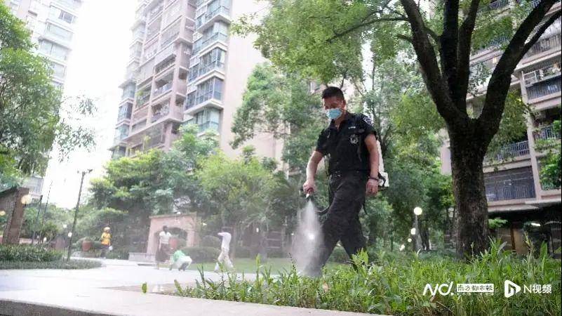 佛山一区发“防蚊令”：造成严重后果，可暂停分红！