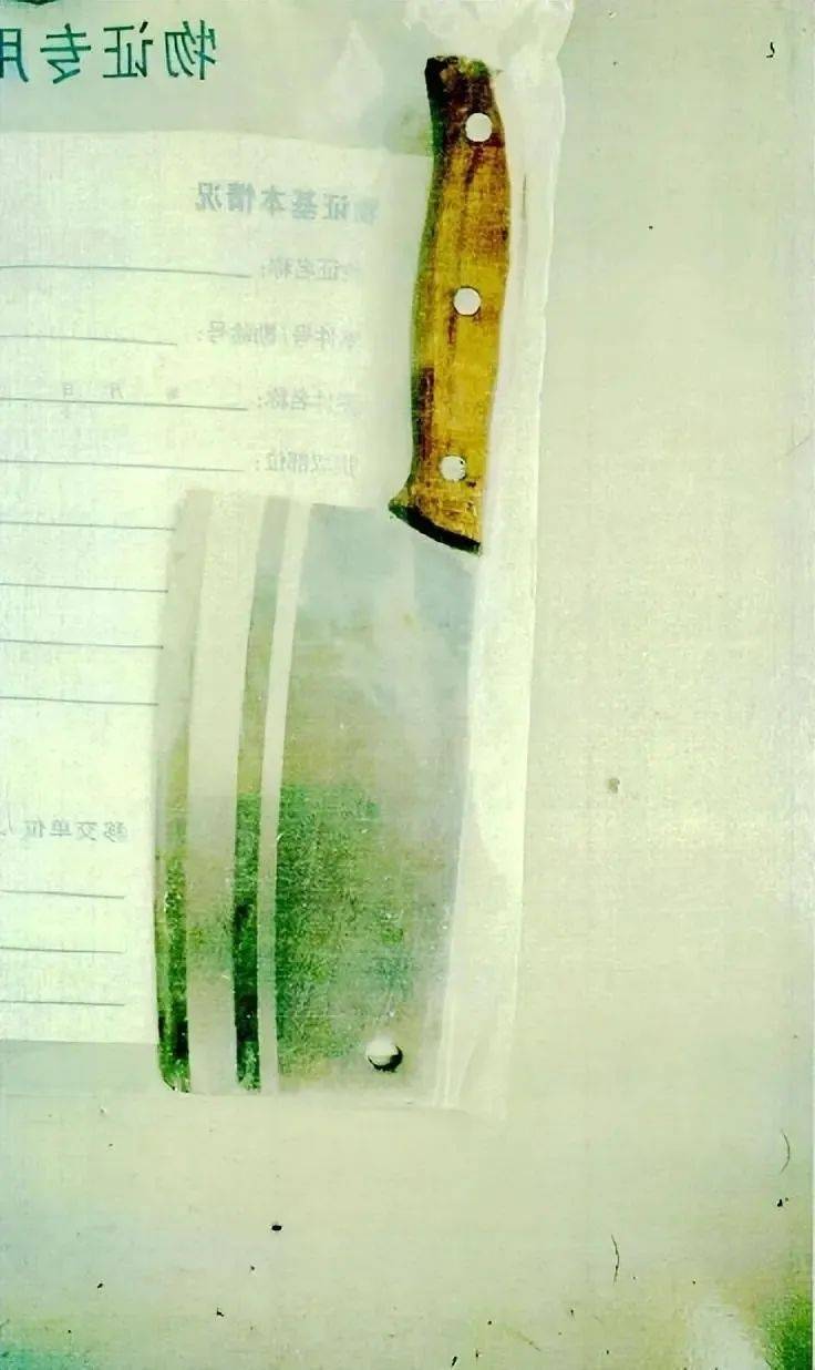 40岁“啃老”男子酒后向母亲要钱未果，将菜刀扔出窗外砸中车辆，因高空抛物被公诉