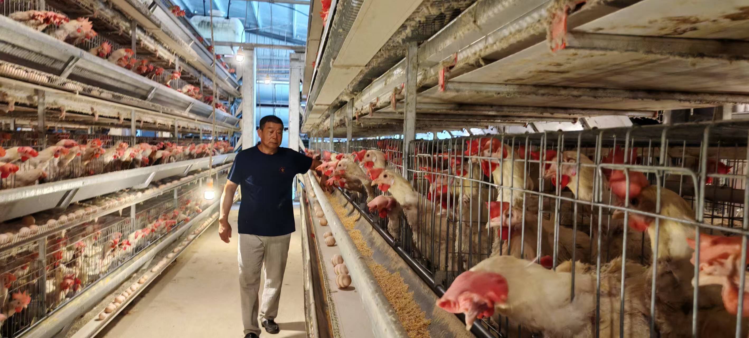 魏光华开始了在家乡的发展之路,他先后在原张店镇联防队,农村合作基金