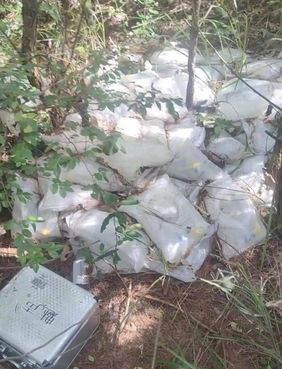 大量未过期药品被丢弃在树林里？江西南城通报