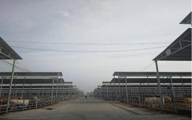 河南柘城养殖场排污风波再起：陕西网友转发文章