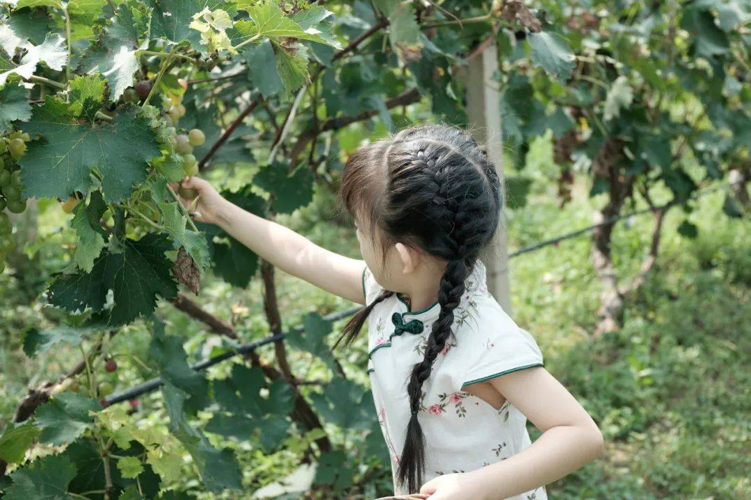 @全体家长 孩子户外活动，小心受伤！这3件事一定要牢记！