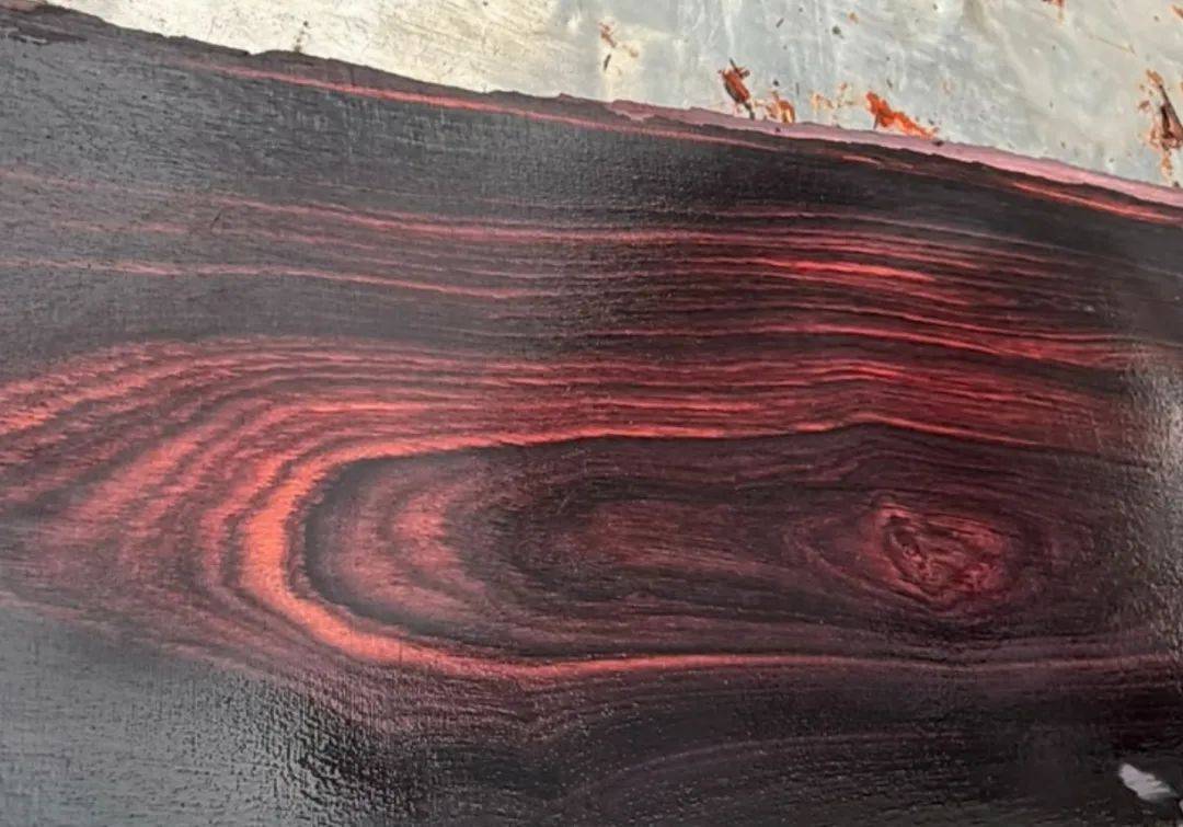 3. 老紅木・古山 杢入 175mm【紅酸枝 印度檀香 金星紫檀 野生 】★希少銘木 Authentic natural wild old Lobular Red Sandalwood of India