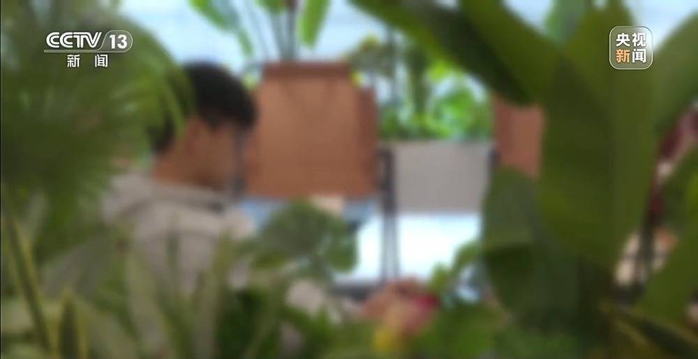 从缅甸电诈园区脱险回家 高中生胡一啸经历了什么