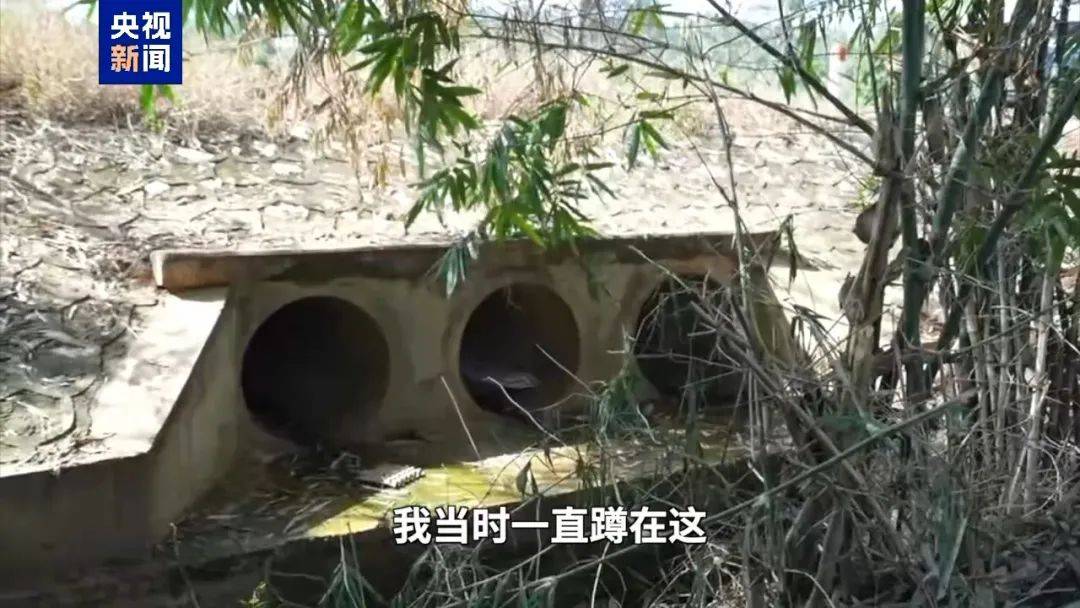 柬泰边境冲突期间，柬埔寨一退役老兵在1米高排水管里躲了6天，“很煎熬，不想要战争”