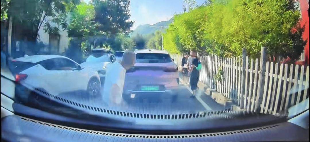 陕西一景区有车辆逆行、“人肉加塞”引众怒 当地交警开出罚单