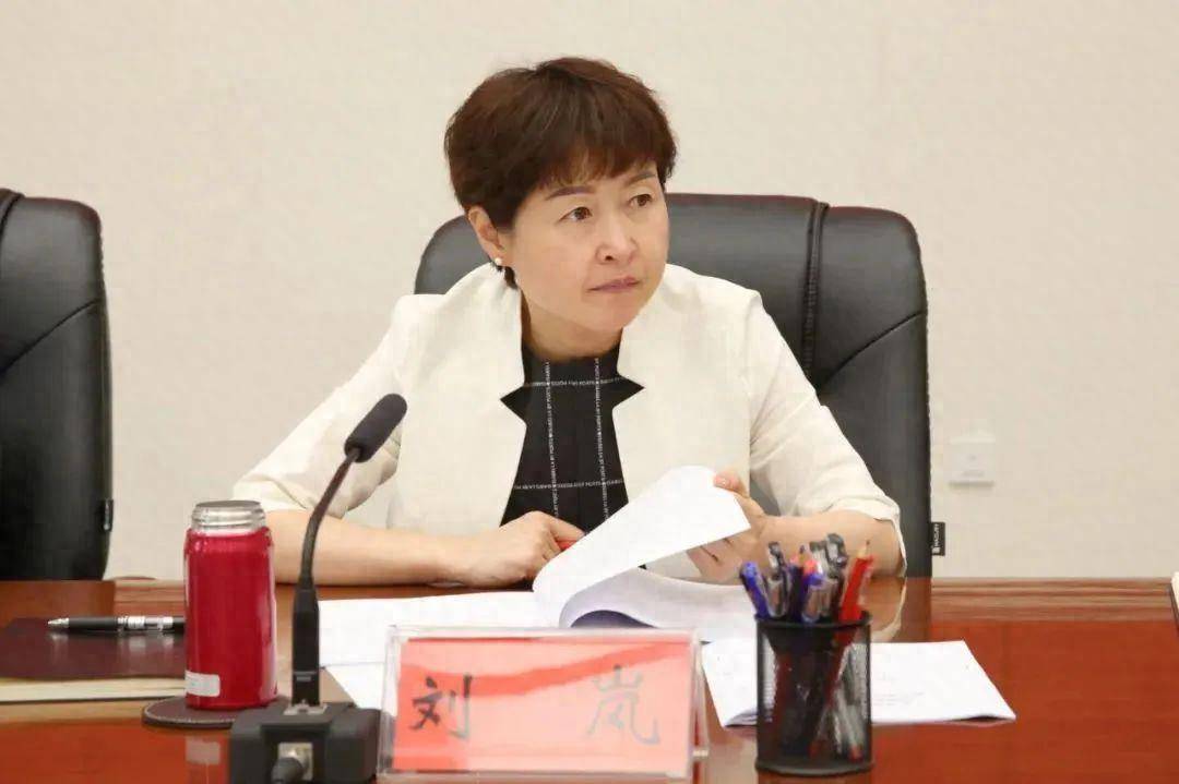 在医疗设备采购等方面大搞腐败,贵阳市原副市长刘岚被决定逮捕_贵州省_工作_中国共产党