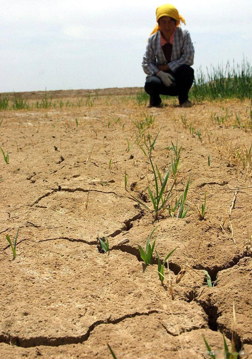 驻马店干旱终结:甘霖降临!