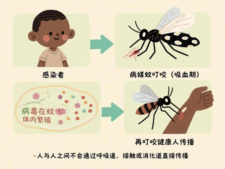 选购有害生物防治服务指南:让您远离烦恼
