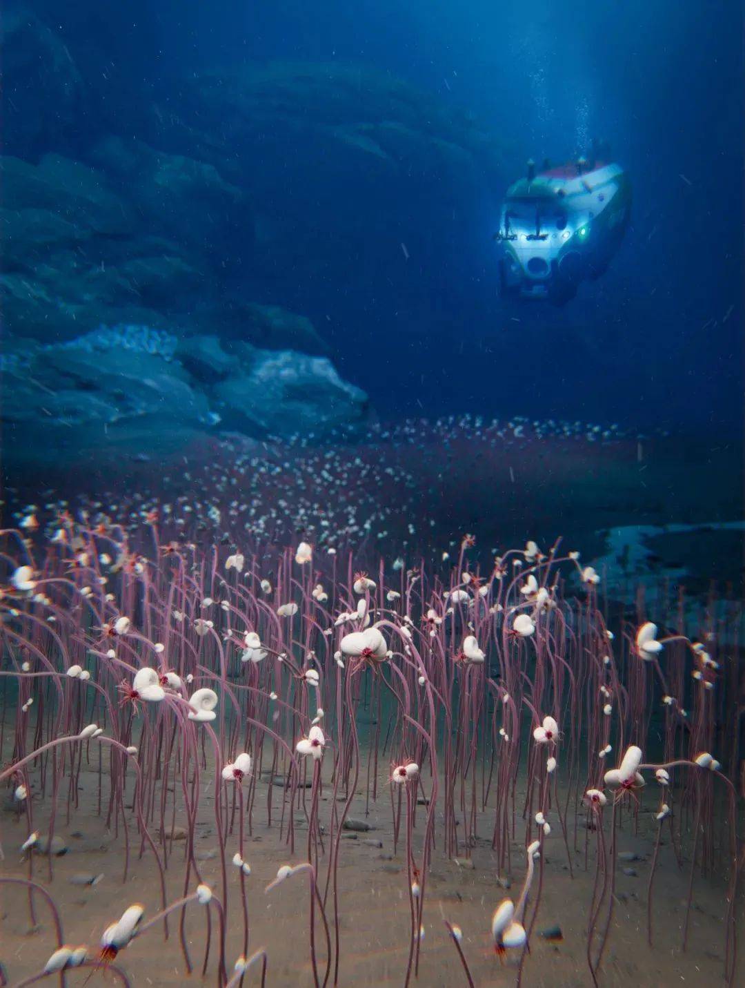 科学家在9533米的海底深渊发现生命绿洲