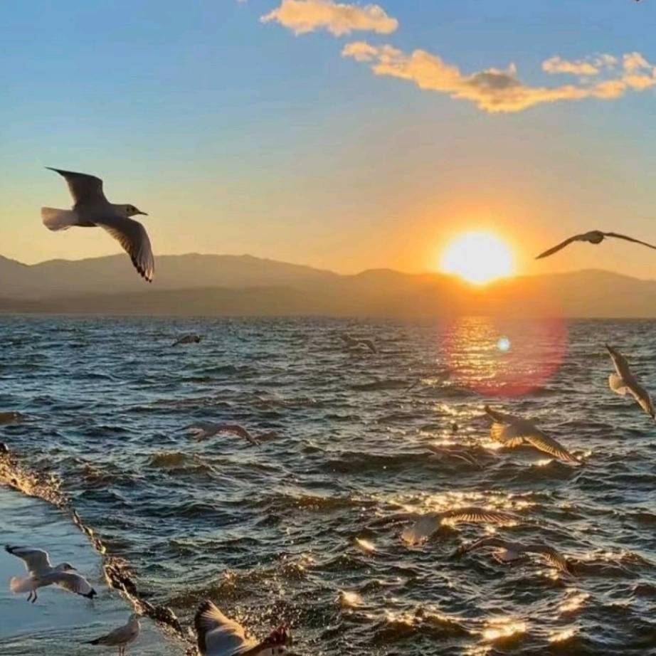 Spring Data JPA 复杂仓库接口_HUoCheNGrM_jy_List