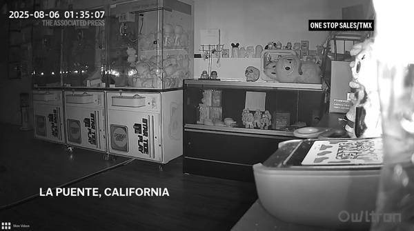 图片[2]-美洛杉矶一商店“拉布布”玩偶被盗：价值7000美元 -华闻时空