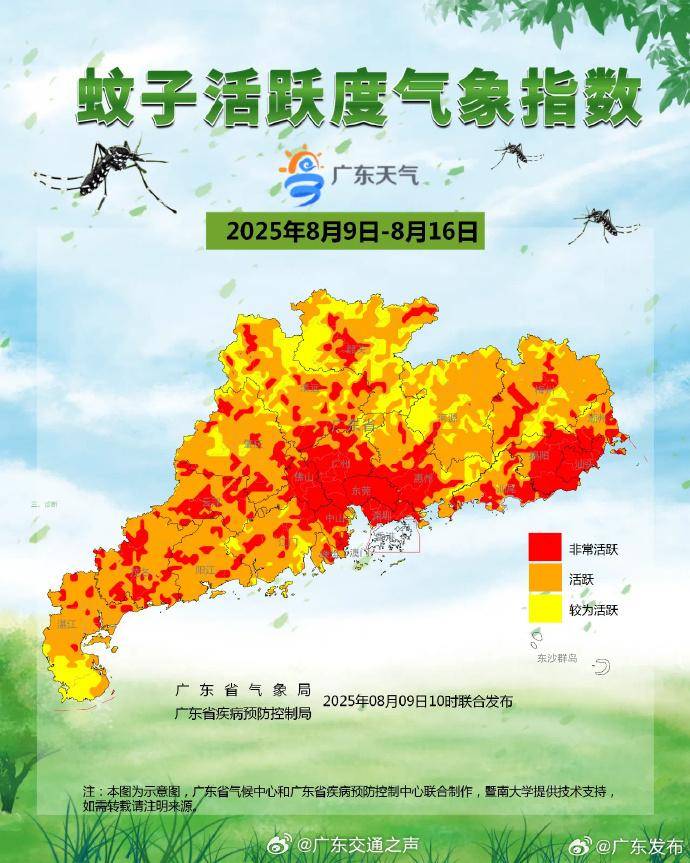 或成超强台风！第11号台风“杨柳”路径又变