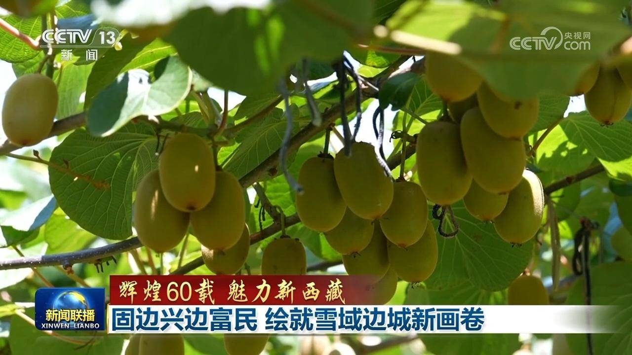 【輝煌60載 魅力新西藏】固邊興邊富民 繪就雪域邊城新畫(huà)卷