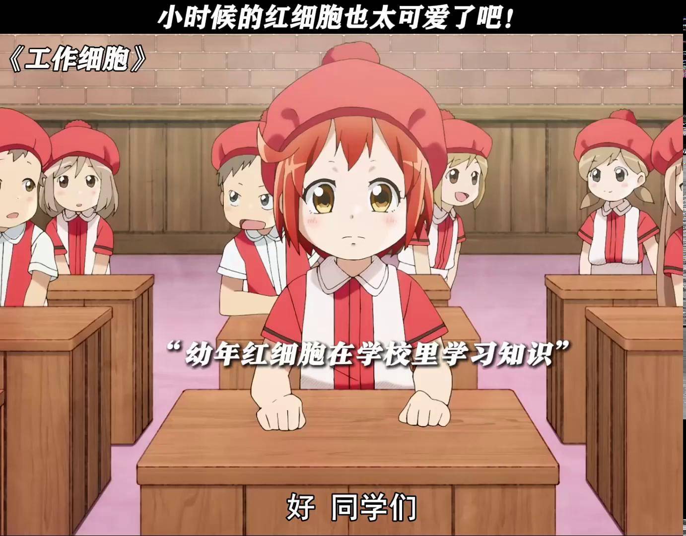 小时候的红细胞也太可爱了吧! 工作细胞 每周b看