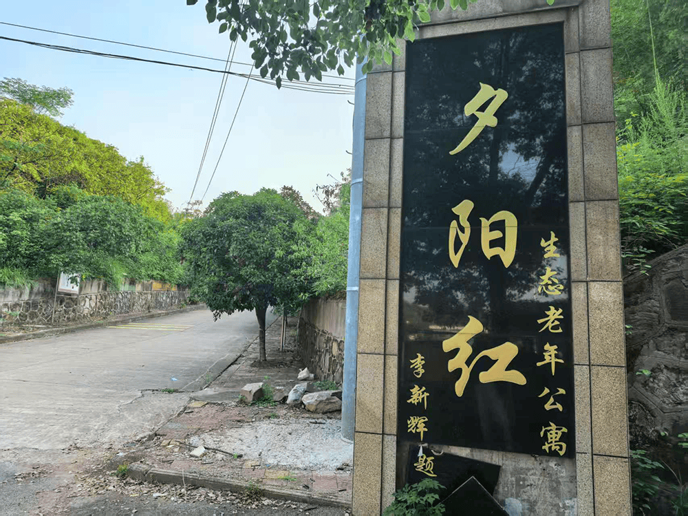夕阳红公寓非法集资28亿爆雷，区民政局长等三人被诉滥用职权案重审开庭