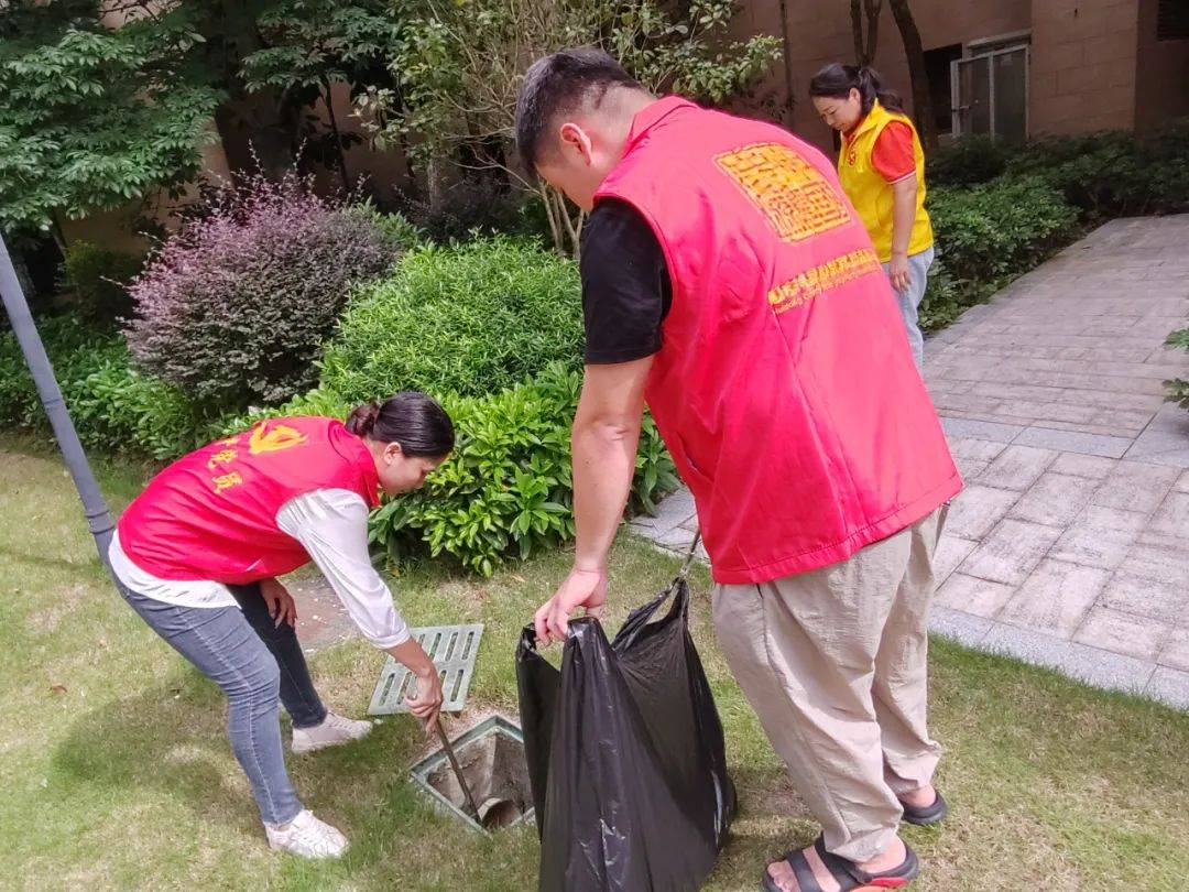 惠东县爱心群志愿者协会党支部开展蚊媒传染病防控清洁活动