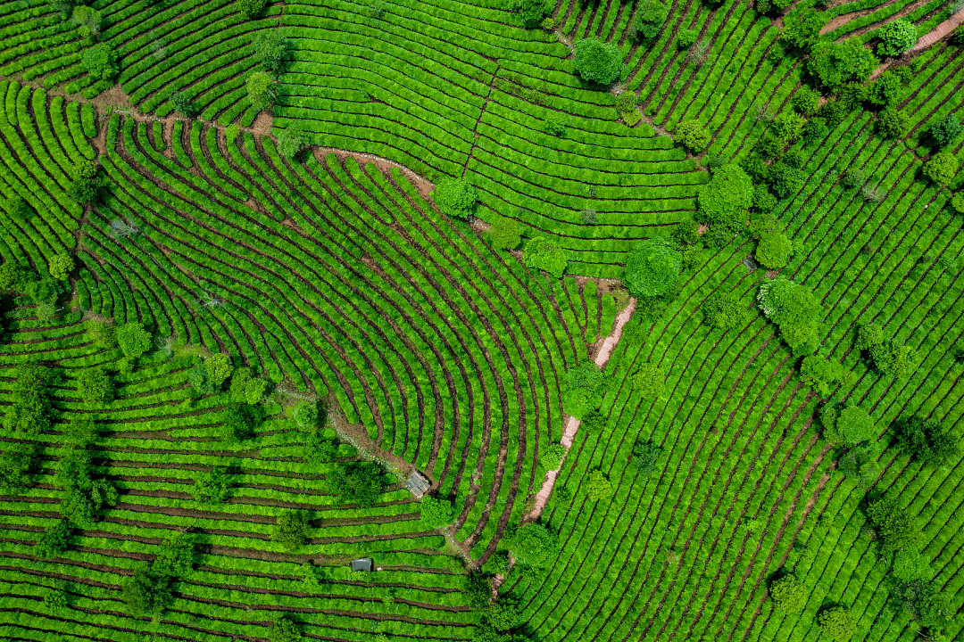 图片[2]-人挤人的暑假，这座云南小城避暑也避世 -华闻时空