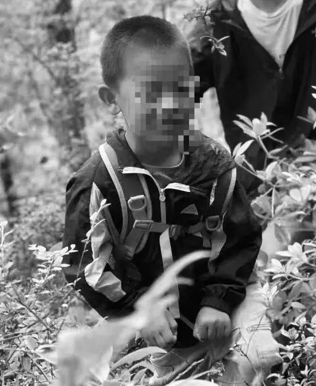 走失的8岁自闭症男童不幸离世，遗体被发现