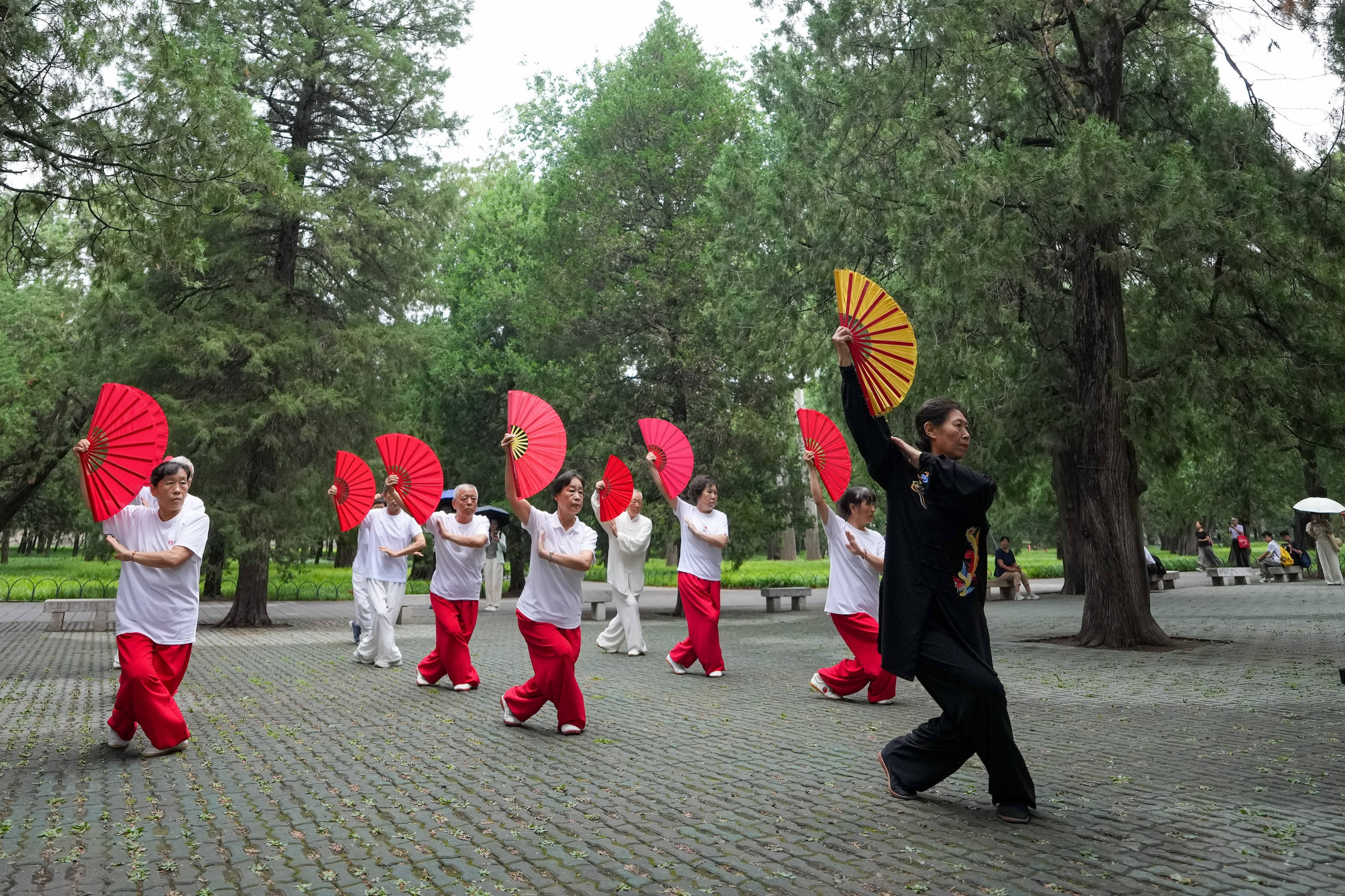 “千园之城”北京：超92%市民享受“出门见绿”