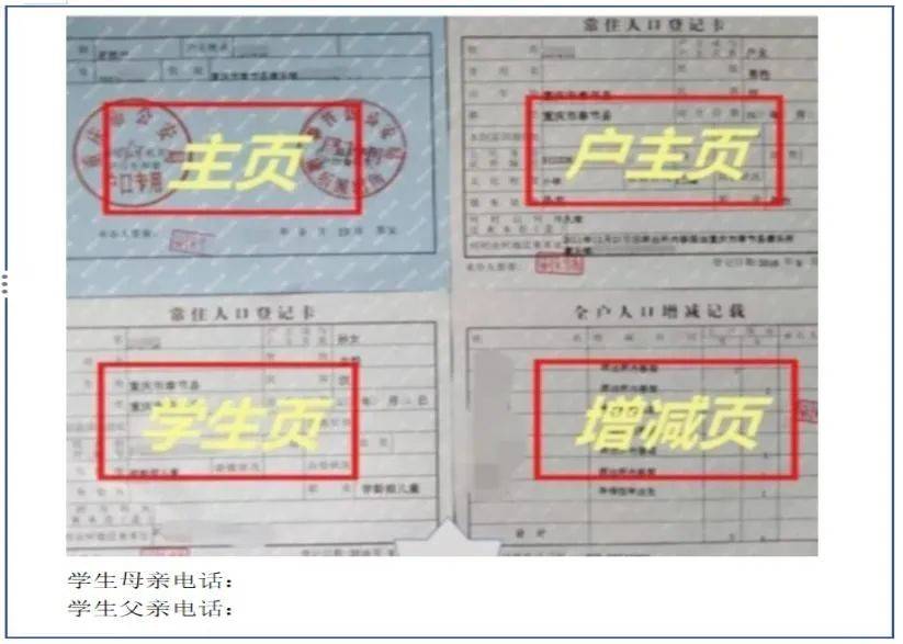 辽宁小学丨2025年秋季学期招生工作通知