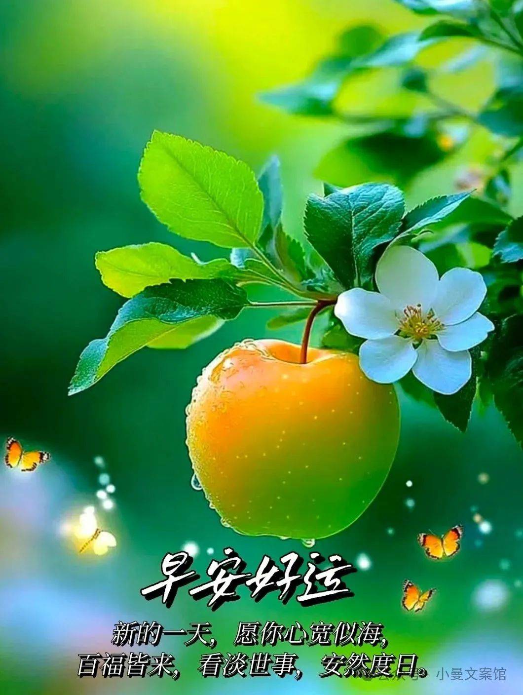 8月17日最漂亮早上好动态表情图片大全,早晨好动图美图大全