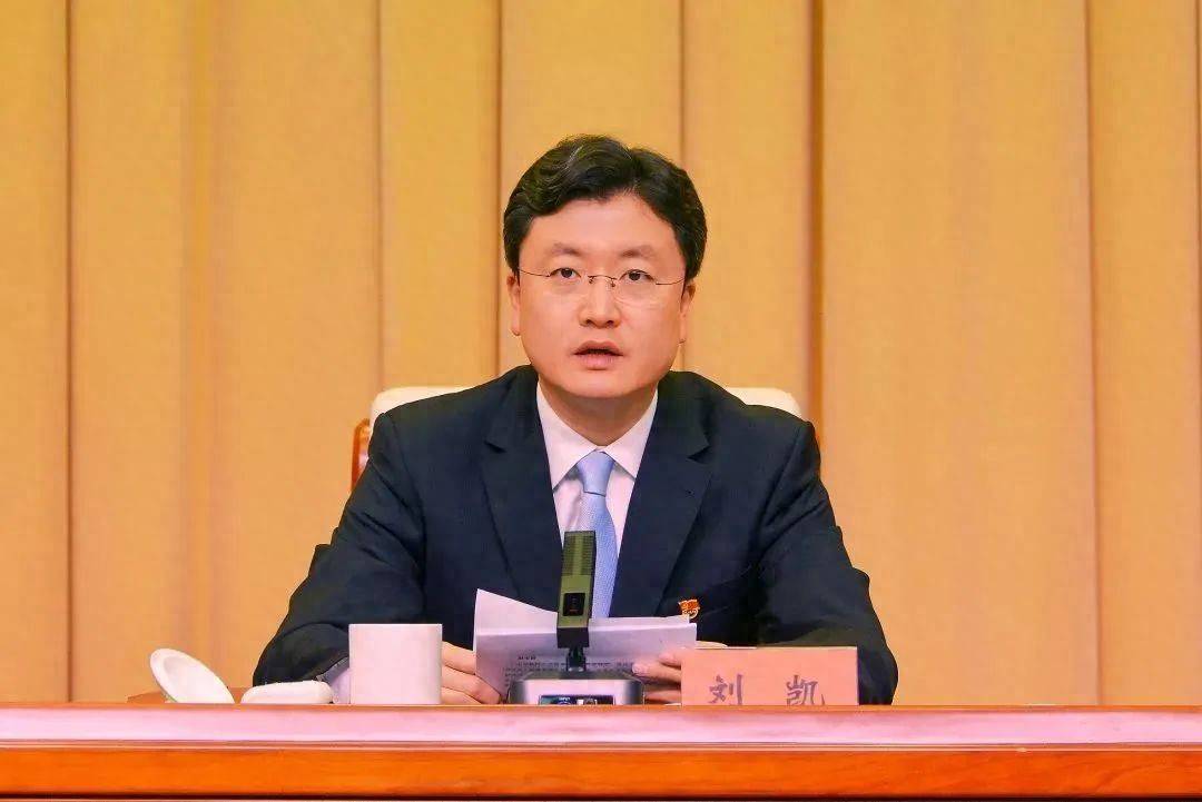 “80后”市长刘凯最新讲话：少一些“按部就班”的套路，多一些“主动上门”的温暖