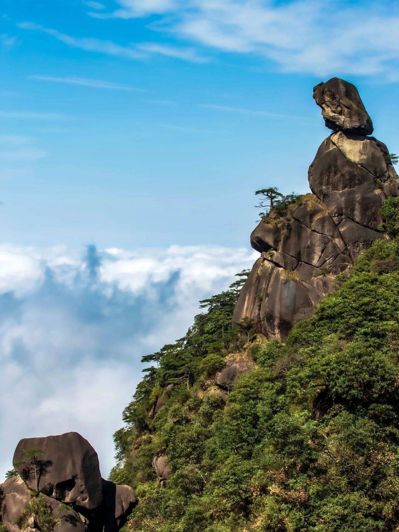 江西省五 大名山探 自然瑰宝相关图片4