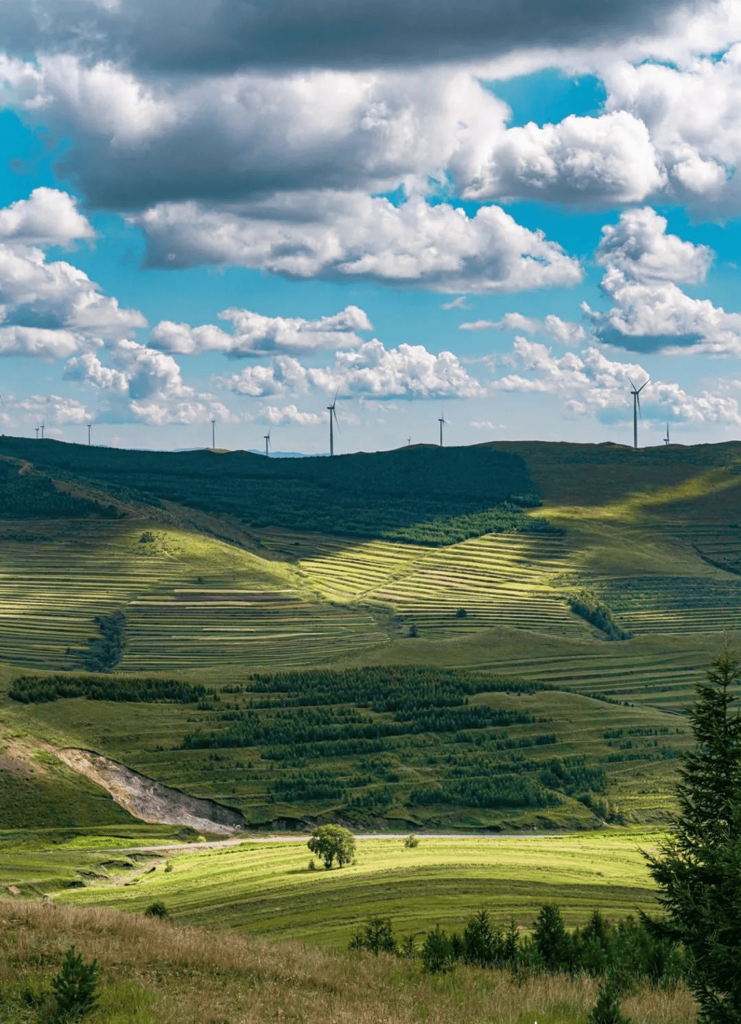 夏游张家口 消夏避暑季