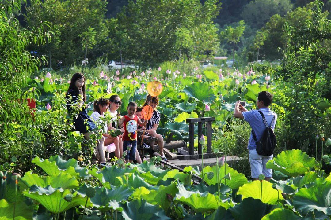 四季蔬菜,让餐桌四季常绿