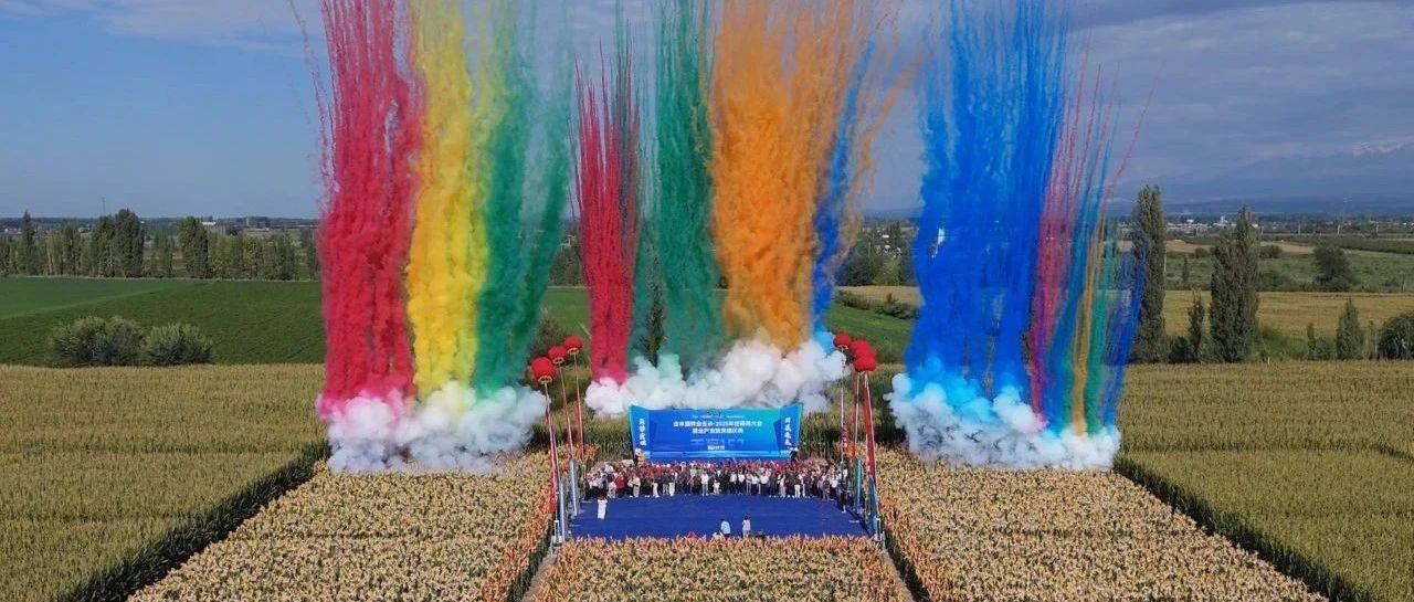 金丰源动态|聚势突破 共赢未来——新疆金丰源种业玉米-2025经销商大会暨全产业链突破庆典成功举办_伙伴_市场