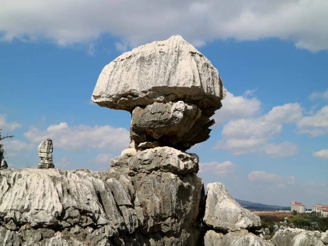 天铸奇章万年灵芝:烟峦深处隐仙踪,浩荡长风岁月平